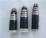߉YJV228.7KV/15KV~оzbo|    