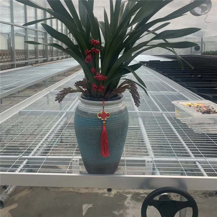 ʲôԽԽrxƄ紲