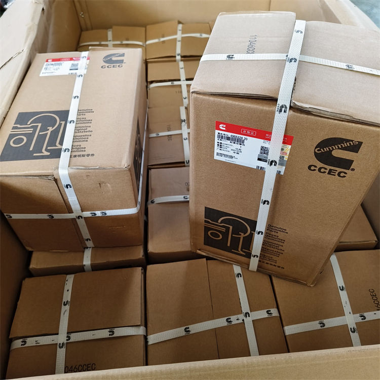 ׽M4955328 ƥDCS1000CM-˹O