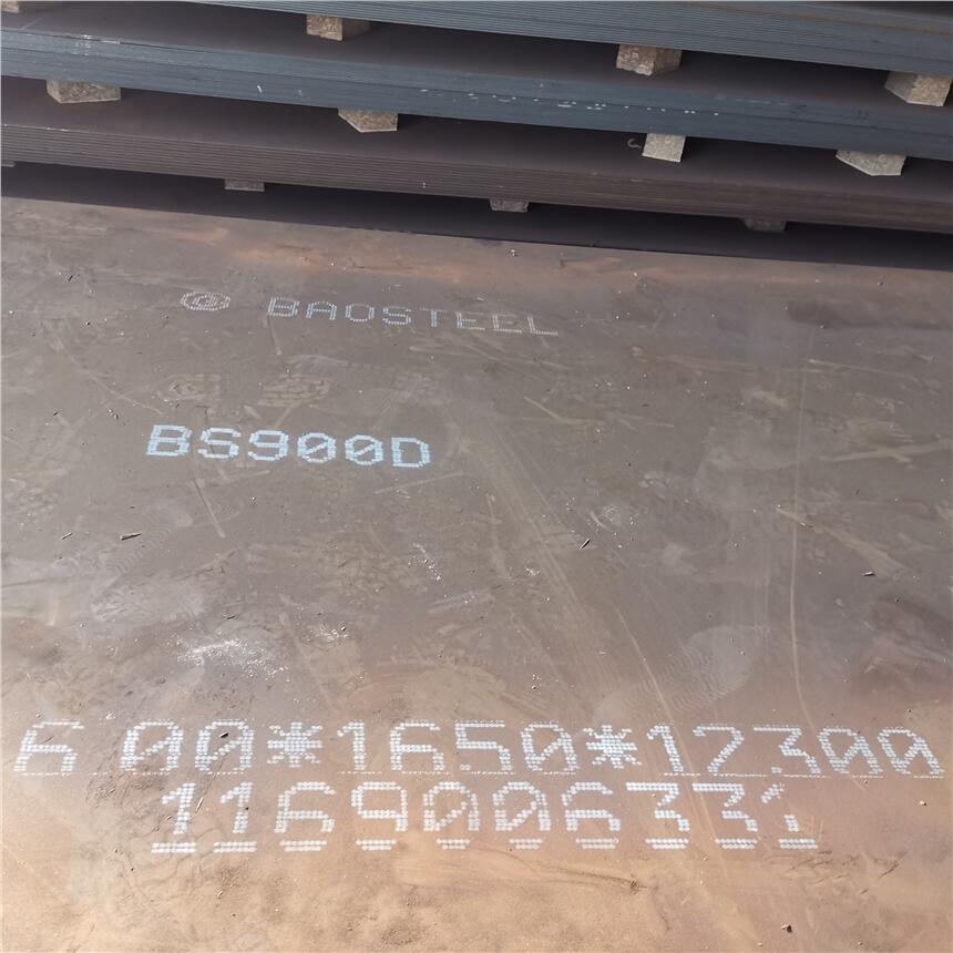 BS900D䓸ߏϺF؛