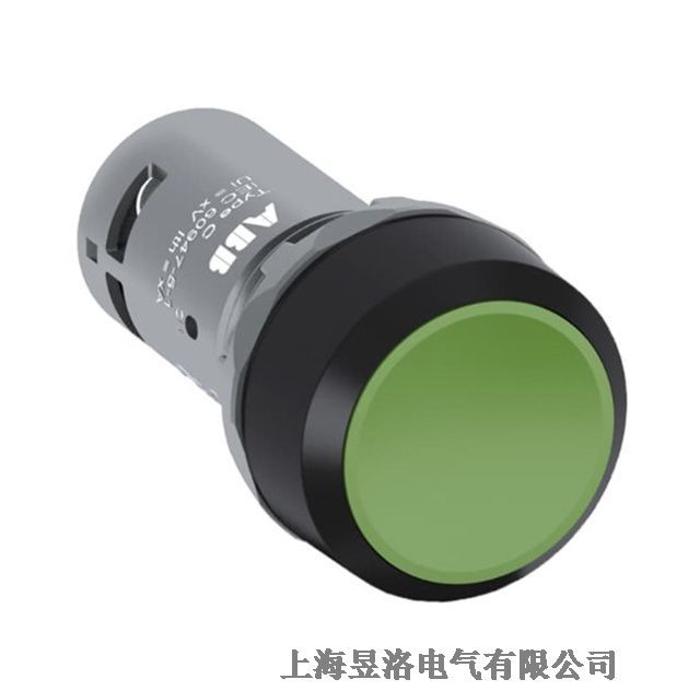 CP1-10G-01CPϵ ƽ^o