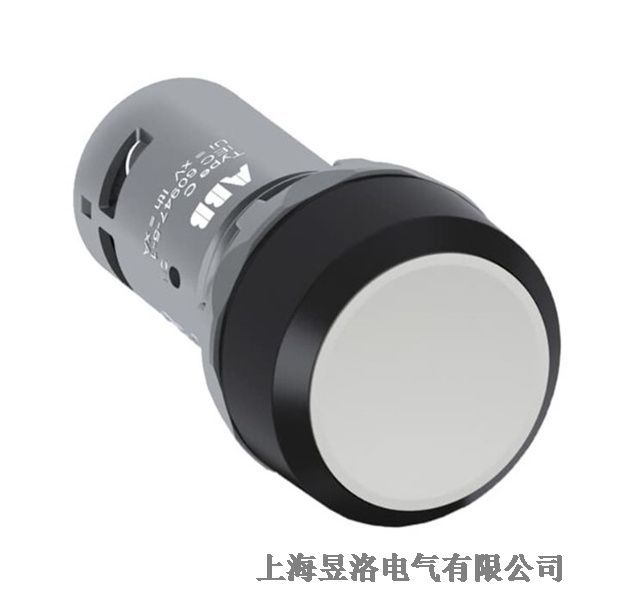 CP1-20Y-11CPϵ ƽ^o