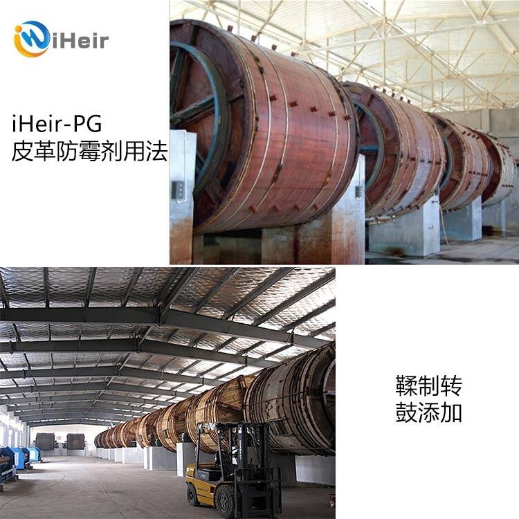 T iHeir-PGƤù SֱN