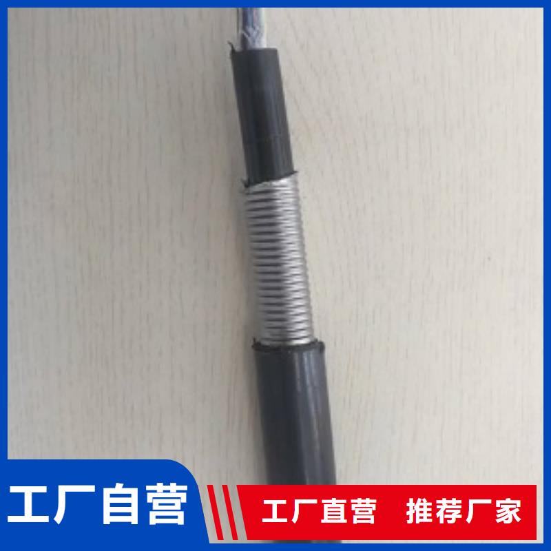 1X300WD-MYJY23|