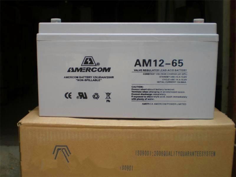 Ĭ(AMERCOM)늳AM2-1800Ah 2V1800AHÿ̽VÙC