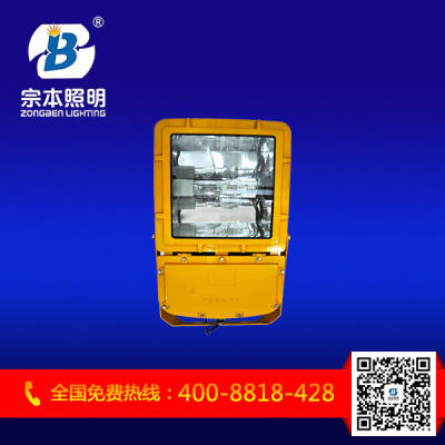 &nbspBFC8110