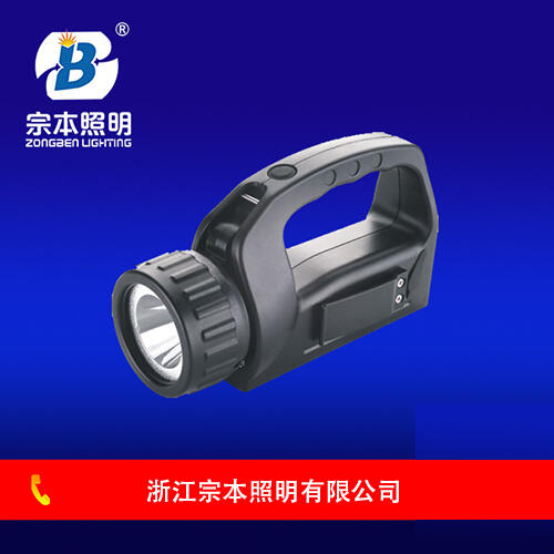 IW5500/BHʽѲzảIW5500/BH