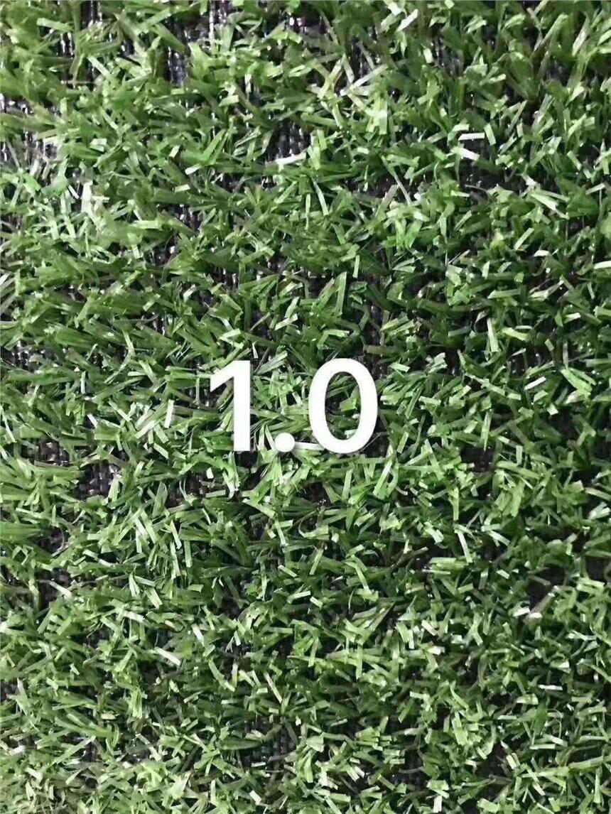 11ᘾGɫƺl