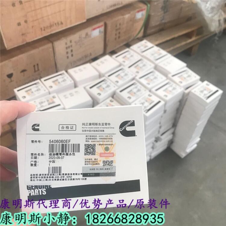 W5406060EFISG