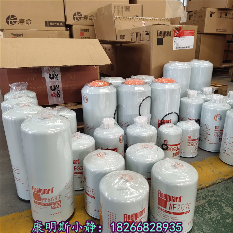 H񲩶ŰC͞V1000428206 1000428205