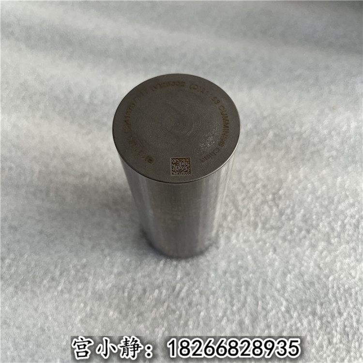 WISGվbCװlәCN3697158