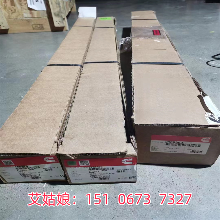 ϾWOCύQ2867223 Mڿ˹