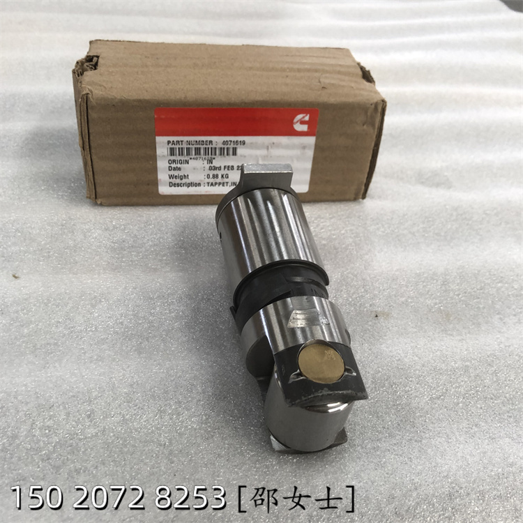 FھC305 225̖ôޱB3947759TͦU