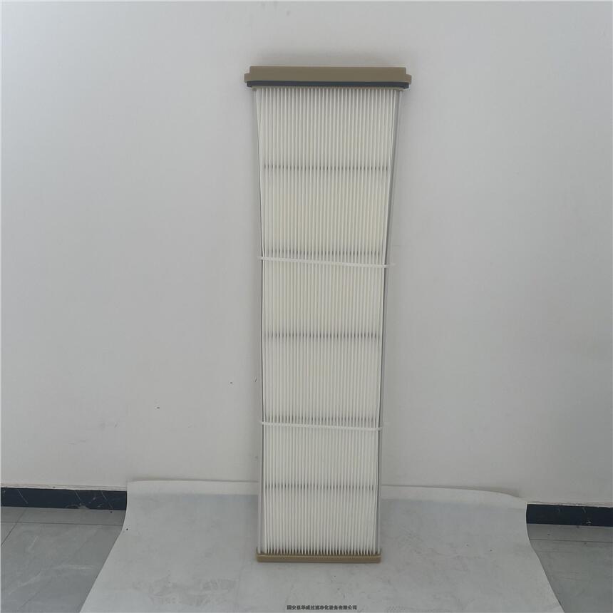 AmγmV