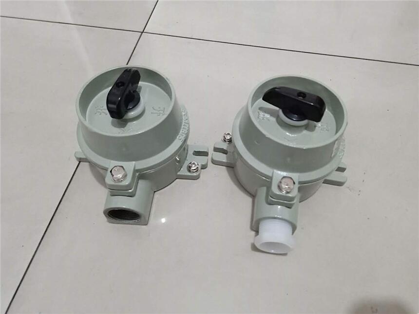 SW-10ϵз_P