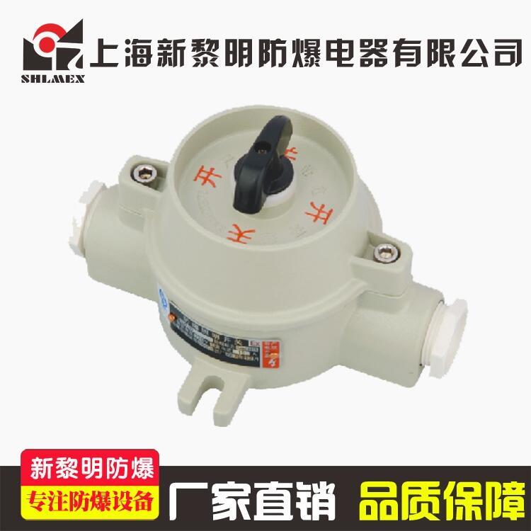 SW-10_P  _P