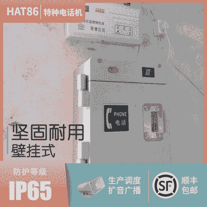GT늏SHAT86(XII)P/T-A ˮԒC