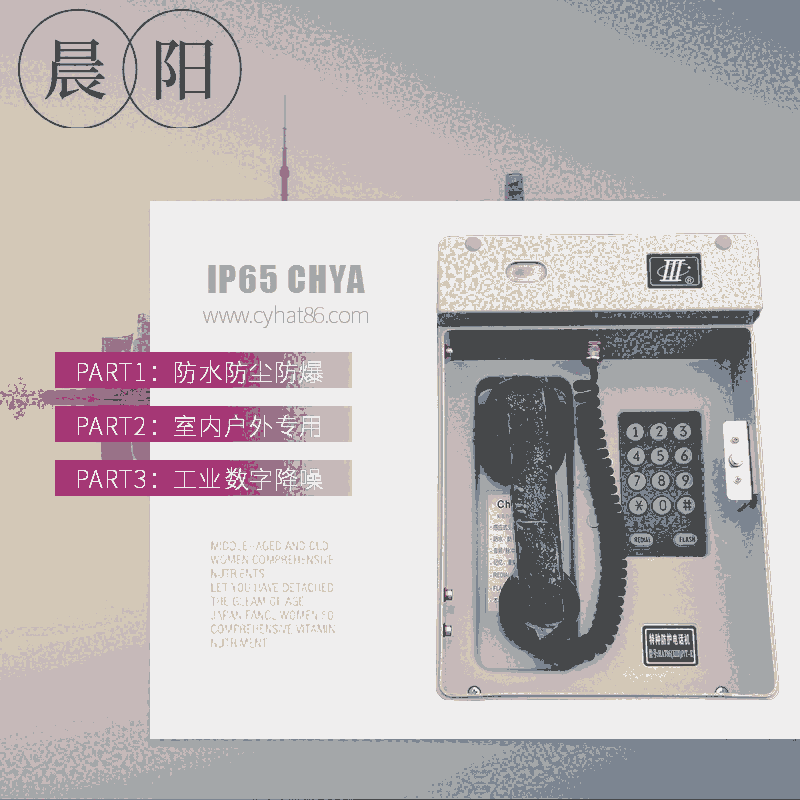 ʽԒCHAT86(XII)P/T-E/IP65