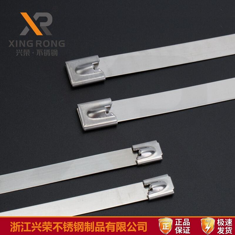 dsXR-CT79P-Lioʽ S