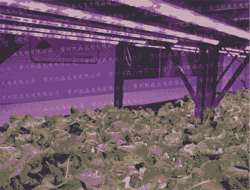 LEDֲֲLaҷNֲֲ
