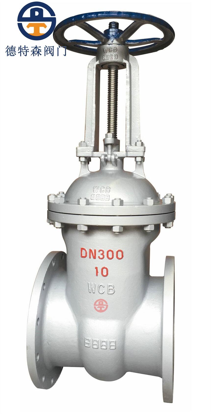 ̼lyZ41H-10C DN300