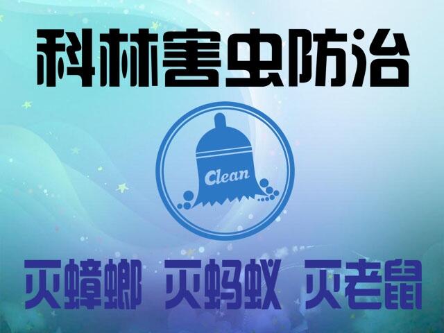 ꖼ벻Ҫ£ҿxꖜ빫˾T