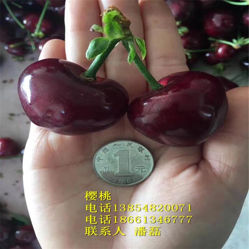 e˹e˹Ҙe˹ҘƷN