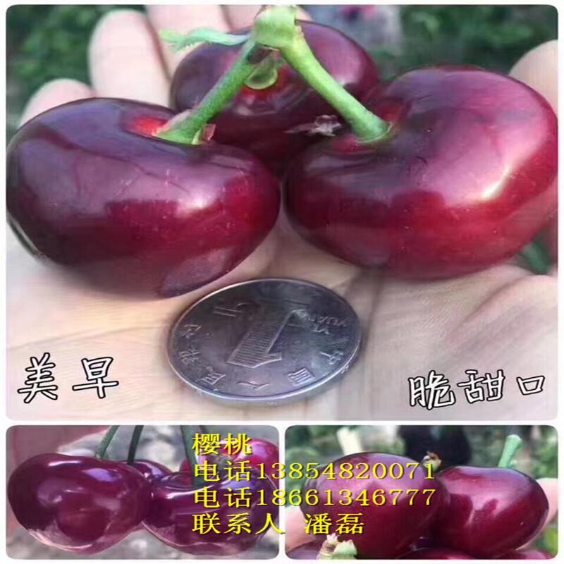 Ҙ-Ҙ-Ҙ-ҘƷN
