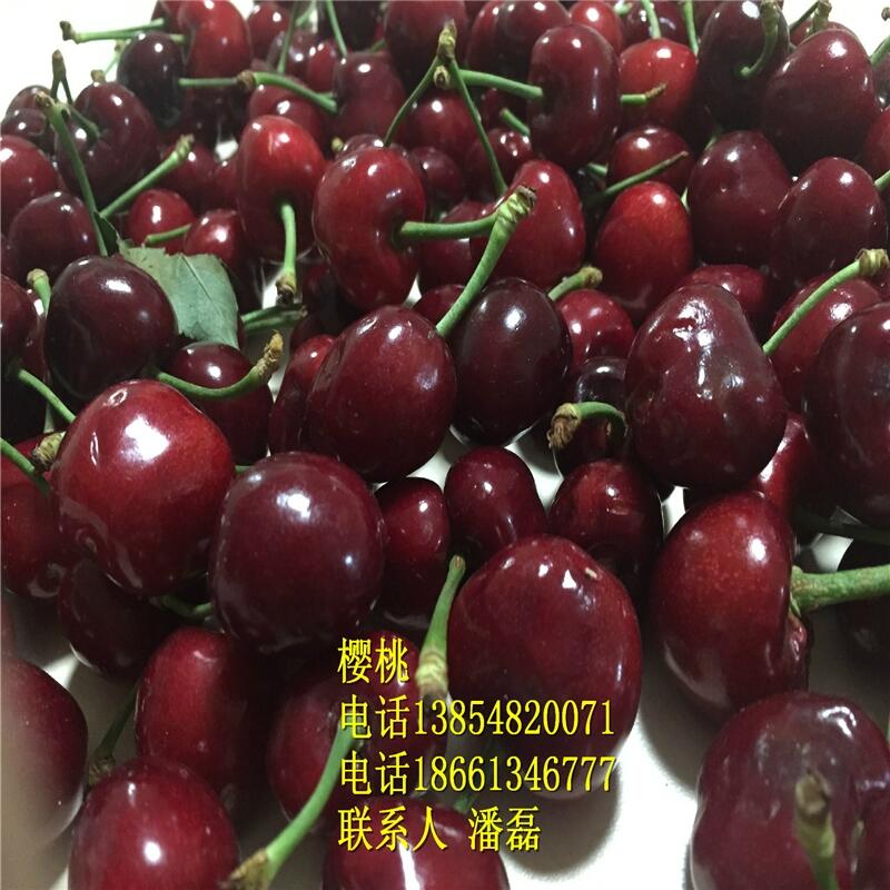 Ҙ-Ҙ-Ҙr