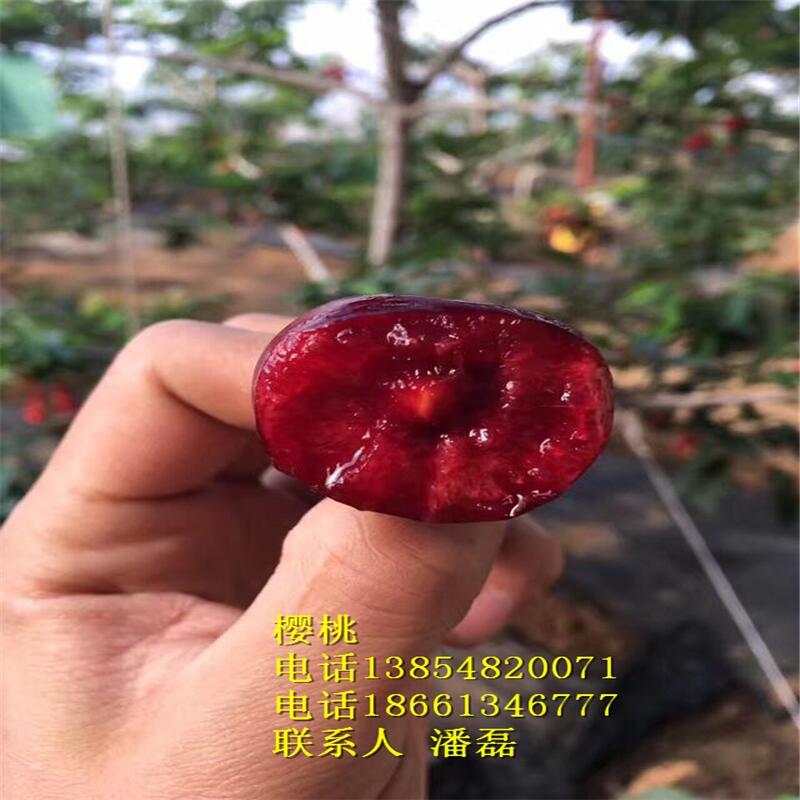 Ҙ܇ӴҘ܇ӴҘƷN