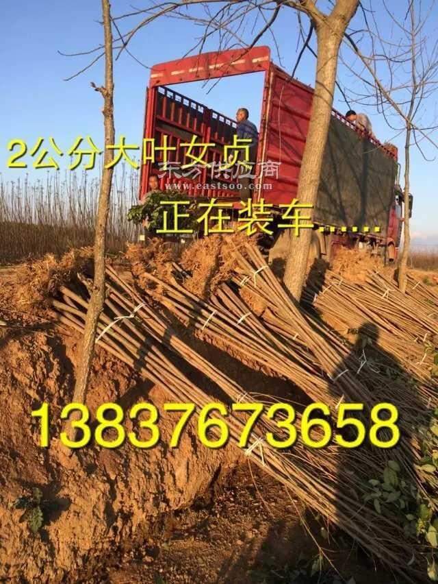 3֏VmЈl