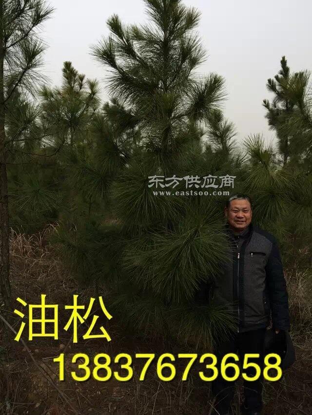  ̰lr