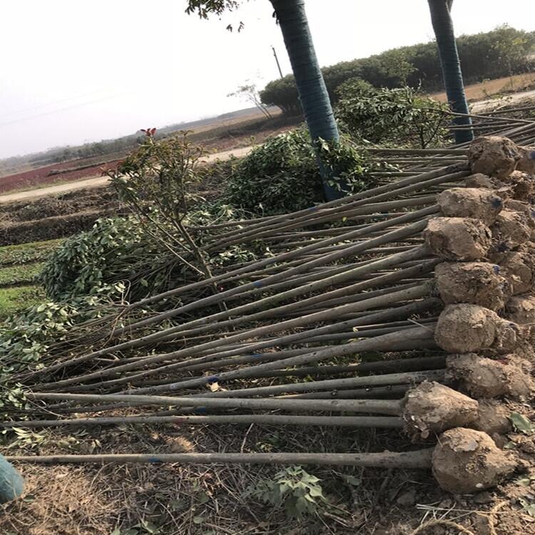 1׸3rЈr