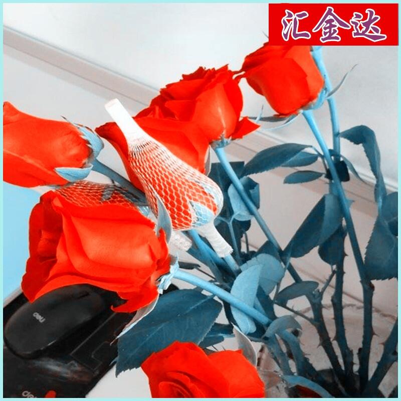 WיC ˅WיC R_75L