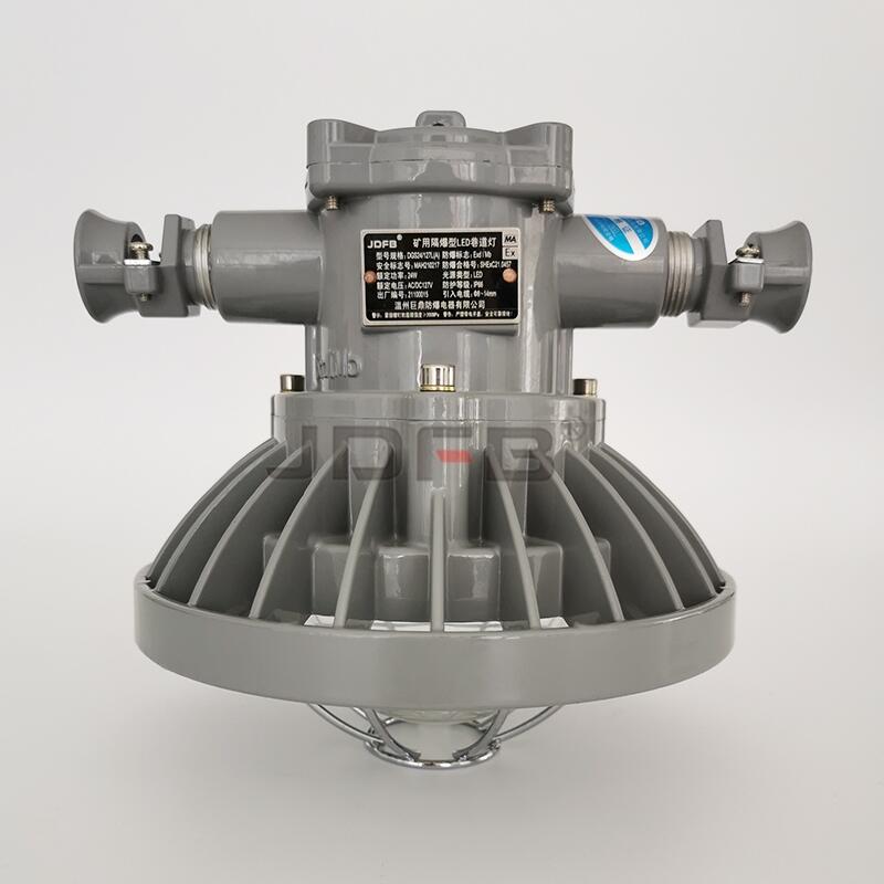 DGS24/127L(A),LED24W