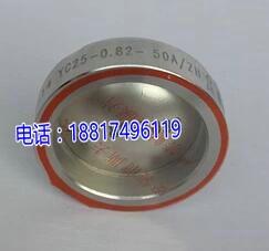 YC25-40Ƭ LJYAƬLP/LF/LCA316LۉmйƬy