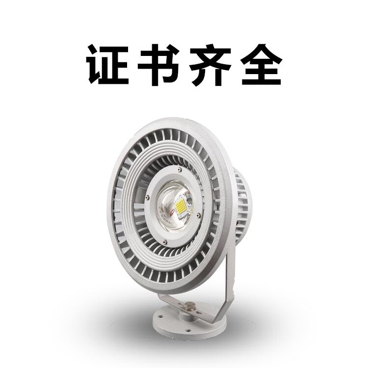 SoLEDͶ