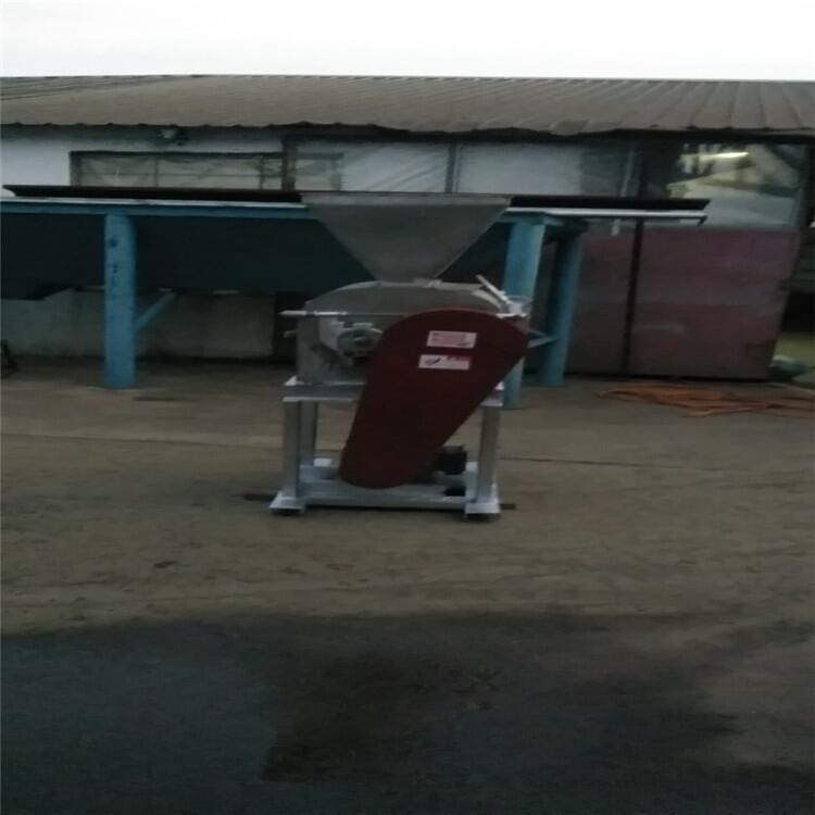 ͲP䓌݁CNۏSԒ