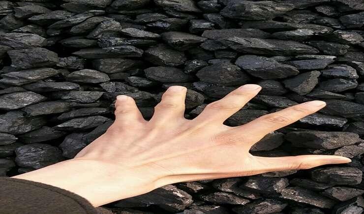 gӭVhoúVϼgҪ