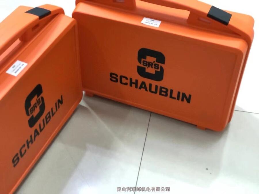 SCHAUBLINͲA ĥCA^ 