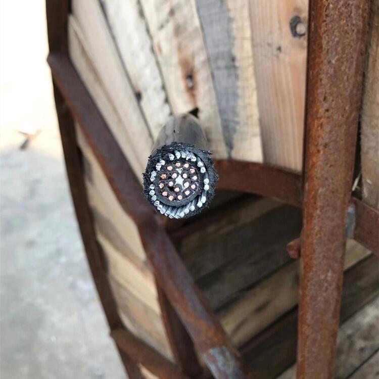 ͸ߜؾKFFP10*1|