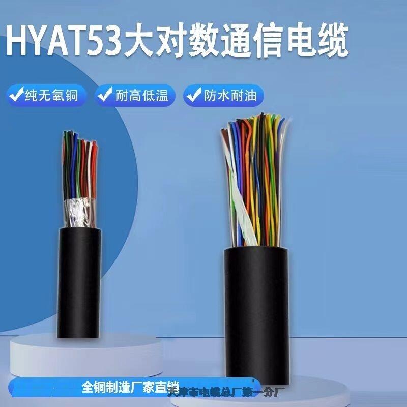 ҃ͨ|HPVV 100*2*0.5MM