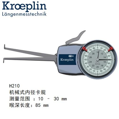 kroeplinCеȏyҎH210