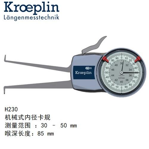 kroeplinCеȏyҎH230