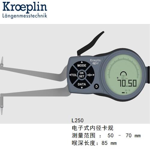 kroeplin@ȏyҎL250