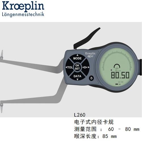 kroeplin@ȏyҎL260