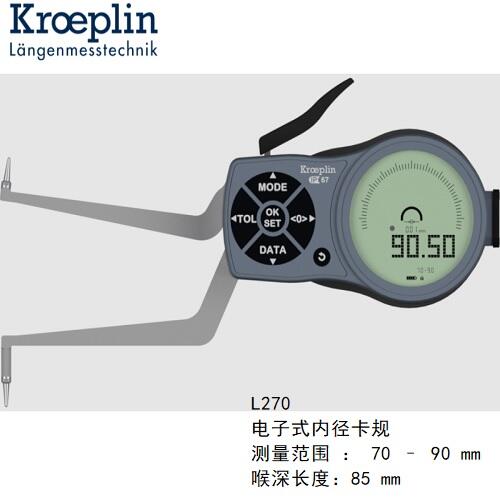 kroeplin@ȏyҎL270