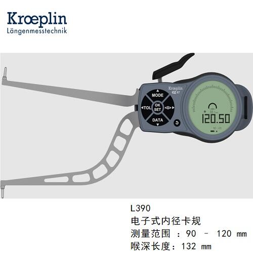 kroeplin@ȏyҎL390