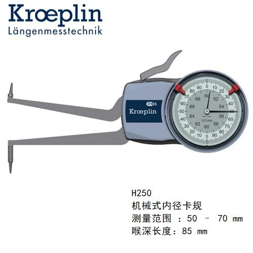 kroeplinCеʽȏyҎH250