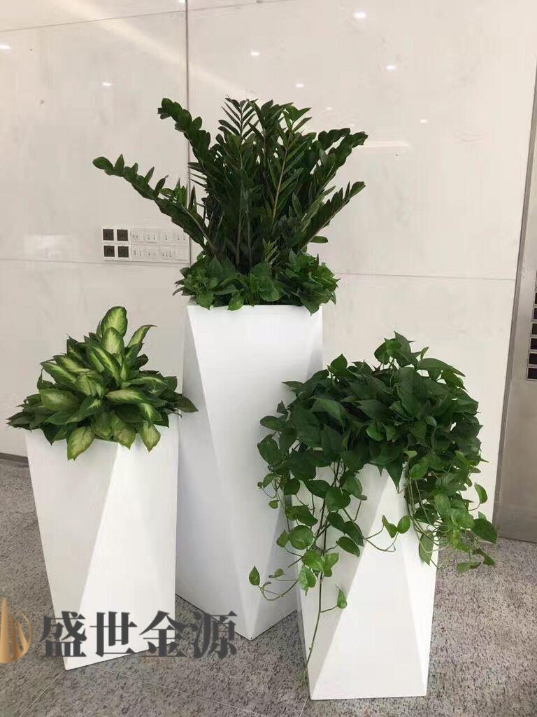ݲP䓻S  P䓻ˇ